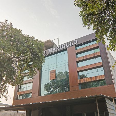 Collection O Hotel Marigold كانبور المظهر الخارجي الصورة
